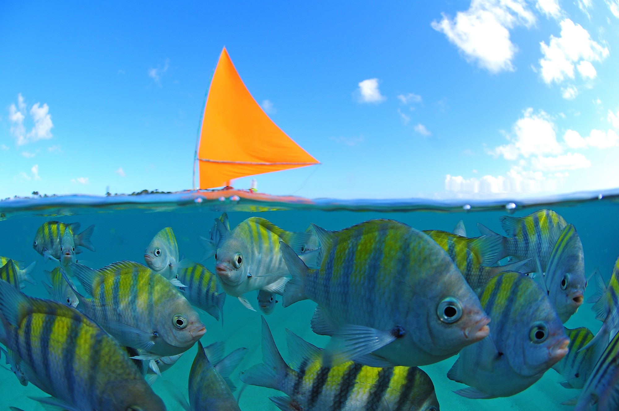 Porto de Galinhas Ipojuca 1